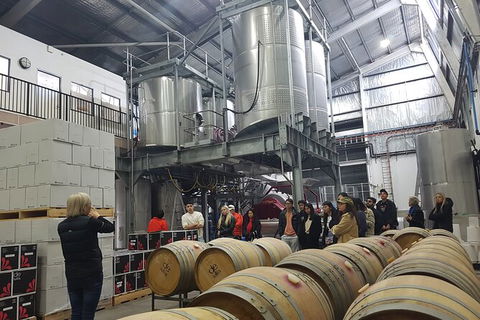 Hunter Valley Small Group Wine, Gin, Cheese & Chocolate Tour - Redcliffe Tourism 6
