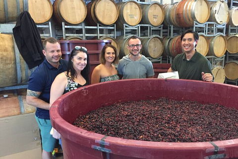 Hunter Valley Small Group Wine, Gin, Cheese & Chocolate Tour - Redcliffe Tourism 0