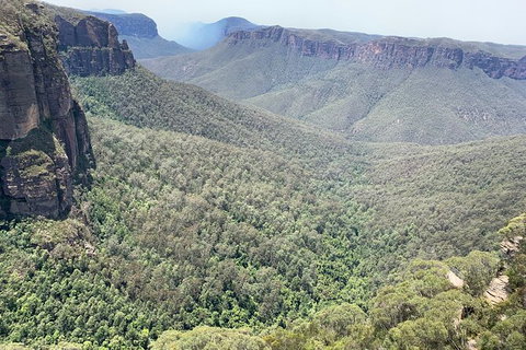 Blue Mountains Private Bus Tour From Sydney, Plus Featherdale Aussie Animal Park - Redcliffe Tourism 3
