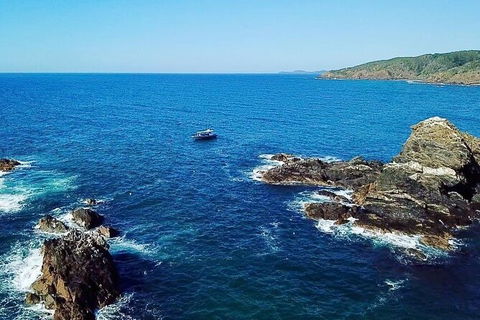 Julian Rocks Byron Bay Cruise - Redcliffe Tourism 15