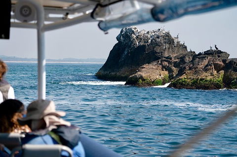 Julian Rocks Byron Bay Cruise - Redcliffe Tourism 20