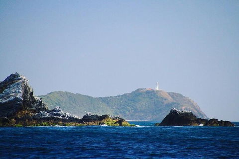 Julian Rocks Byron Bay Cruise - Redcliffe Tourism 2