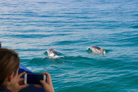 Julian Rocks Byron Bay Cruise - Redcliffe Tourism 9