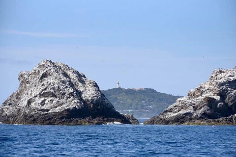 Julian Rocks Byron Bay Cruise - Redcliffe Tourism 14