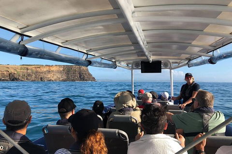 Julian Rocks Byron Bay Cruise - Redcliffe Tourism 5