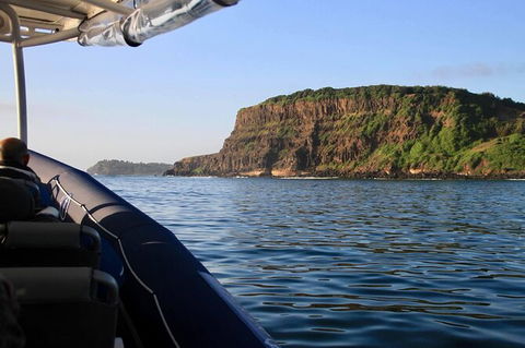 Julian Rocks Byron Bay Cruise - Redcliffe Tourism 17