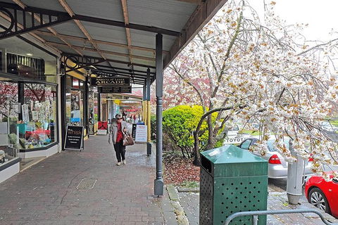 Blue Mountains Highlights, Wildlife Park And Scenic World Full Day Private Tour - Redcliffe Tourism 2