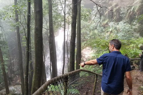 Blue Mountains Highlights, Wildlife Park And Scenic World Full Day Private Tour - Redcliffe Tourism 6