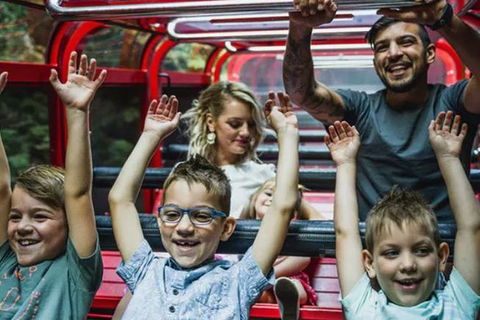 Blue Mountains Highlights, Wildlife Park And Scenic World Full Day Private Tour - Redcliffe Tourism 5