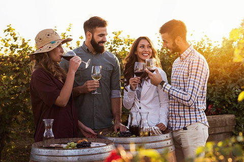 Hunter Valley Highlights Private Wine Tour From Sydney - Redcliffe Tourism 0