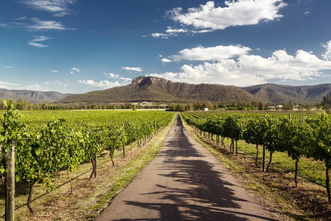 Hunter Valley Highlights Private Wine Tour From Sydney - Redcliffe Tourism 2