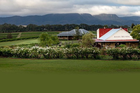 Hunter Valley Highlights Private Wine Tour From Sydney - Redcliffe Tourism 5