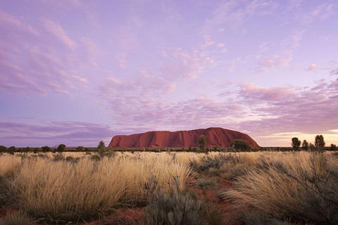 Explore Uluru: 7 Hours Guide Tour At Sunrise With Light Breakfast - Redcliffe Tourism 4