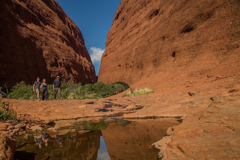 4 Day/3 Night Perentie Dreaming Safari - Redcliffe Tourism 3