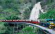 Classic Kuranda By Skyrail And Scenic Railway Including Rainforestation, Koala And Wildlife Park And Pamagirri Aboriginal Experi - thumb 0
