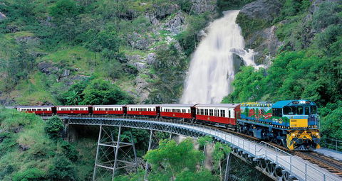 Classic Kuranda By Skyrail And Scenic Railway Including Rainforestation, Koala And Wildlife Park And Pamagirri Aboriginal Experi - Redcliffe Tourism 0