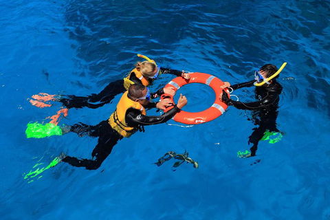Great Barrier Reef Adventure From Cairns - Redcliffe Tourism 2