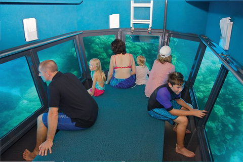 Great Barrier Reef Adventure From Cairns - Redcliffe Tourism 3