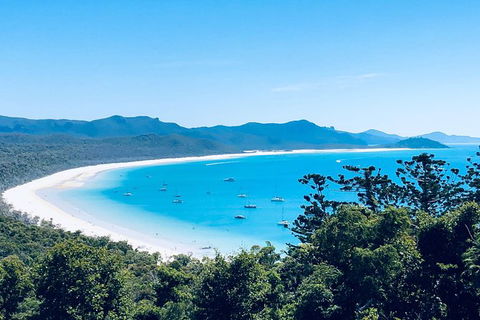 Full-Day Whitsunday Tour: Whitehaven Beach And Hill Inlet With BBQ - Redcliffe Tourism 6