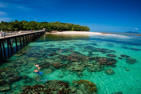 Fly To Green Island - Cruise Return - Redcliffe Tourism 14