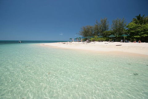 Fly To Green Island - Cruise Return - Redcliffe Tourism 12