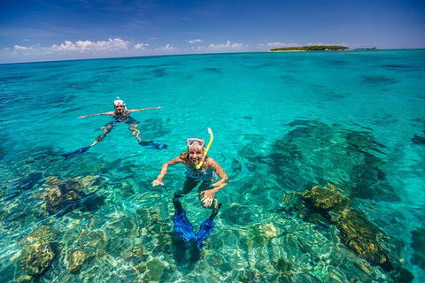 Fly To Green Island - Cruise Return - Redcliffe Tourism 2