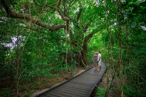 Fly To Green Island - Cruise Return - Redcliffe Tourism 17