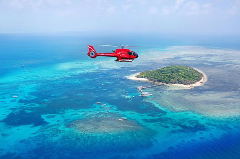 Fly To Green Island - Cruise Return - Redcliffe Tourism 9
