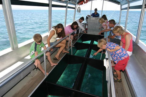 Fly To Green Island - Cruise Return - Redcliffe Tourism 13