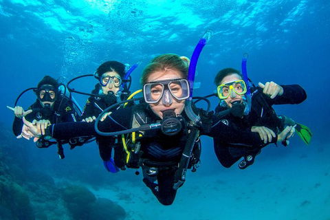 Great Barrier Reef Diving And Snorkeling Cruise From Cairns - Redcliffe Tourism 0