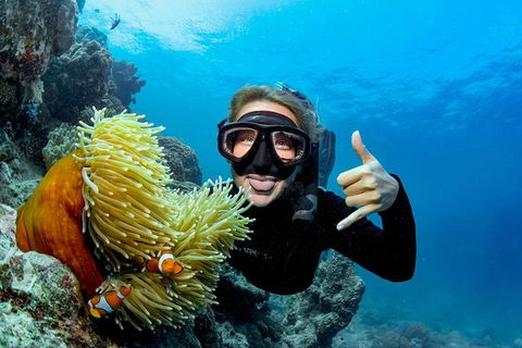 Great Barrier Reef Diving And Snorkeling Cruise From Cairns - Redcliffe Tourism 6