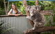 Hartley\'s Crocodile Adventures Wildlife Encounter Day Trip From Cairns - thumb 1