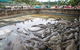 Hartley\'s Crocodile Adventures Wildlife Encounter Day Trip From Cairns - thumb 5