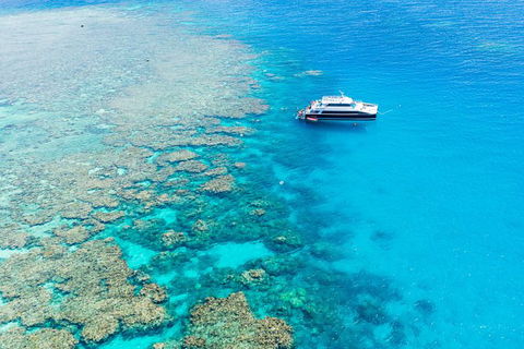 Great Barrier Reef Tour With Indigenous Sea Rangers-Dreamtime Dive And Snorkel - Redcliffe Tourism 3