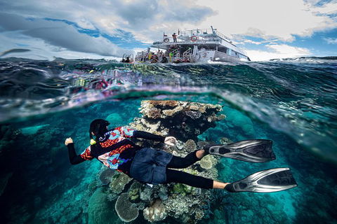 Great Barrier Reef Tour With Indigenous Sea Rangers-Dreamtime Dive And Snorkel - Redcliffe Tourism 7