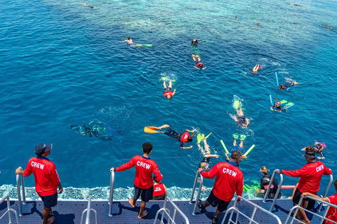 Great Barrier Reef Tour With Indigenous Sea Rangers-Dreamtime Dive And Snorkel - Redcliffe Tourism 2