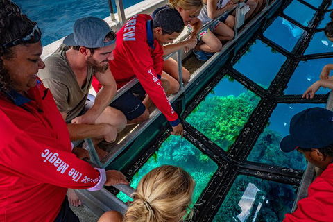 Great Barrier Reef Tour With Indigenous Sea Rangers-Dreamtime Dive And Snorkel - Redcliffe Tourism 6