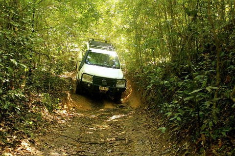 Barron Gorge And Kuranda National Park Half Day Rainforest And Waterfall 4WD Tour From Cairns - Redcliffe Tourism 0