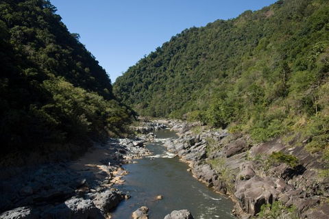 Barron Gorge And Kuranda National Park Half Day Rainforest And Waterfall 4WD Tour From Cairns - Redcliffe Tourism 5