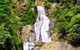 Barron Gorge And Kuranda National Park Half Day Rainforest And Waterfall 4WD Tour From Cairns - thumb 7