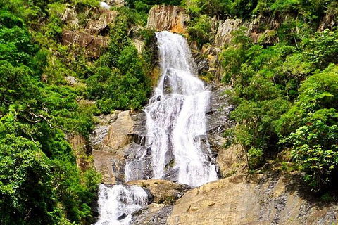 Barron Gorge And Kuranda National Park Half Day Rainforest And Waterfall 4WD Tour From Cairns - Redcliffe Tourism 7