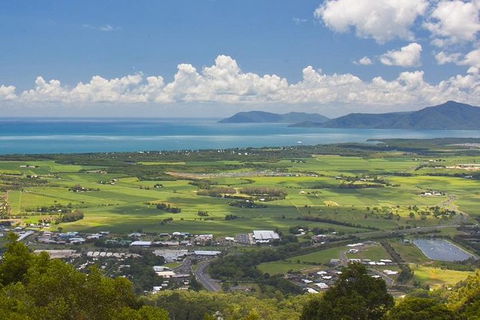 Barron Gorge And Kuranda National Park Half Day Rainforest And Waterfall 4WD Tour From Cairns - Redcliffe Tourism 10