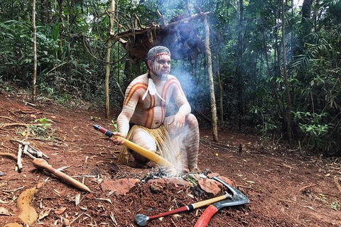 Kuranda Highlights Including Rainforestation Aboriginal Culture And Wildlife - Redcliffe Tourism 9