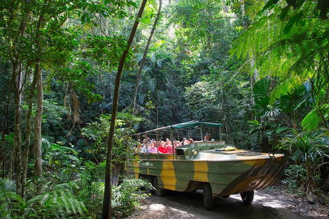 Kuranda Highlights Including Rainforestation Aboriginal Culture And Wildlife - Redcliffe Tourism 2