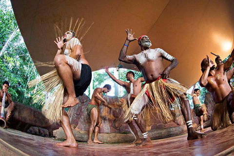 Kuranda Highlights Including Rainforestation Aboriginal Culture And Wildlife - Redcliffe Tourism 3