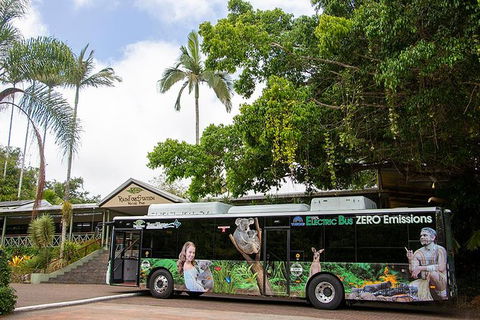 Kuranda Highlights Including Rainforestation Aboriginal Culture And Wildlife - Redcliffe Tourism 4