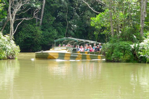 Kuranda Highlights Including Rainforestation Aboriginal Culture And Wildlife - Redcliffe Tourism 5