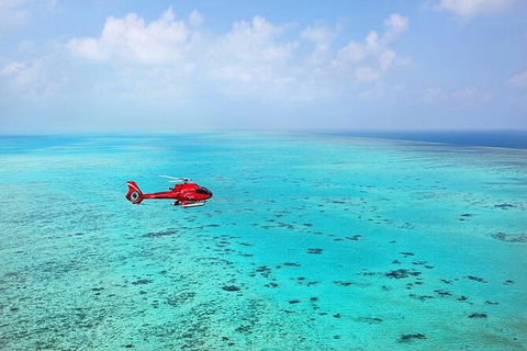 Ultimate Great Barrier Reef And Rainforest 45-minute Helicopter Tour - Redcliffe Tourism 4