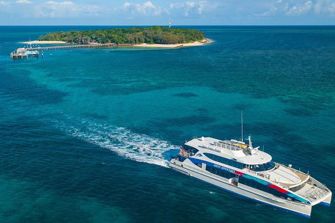 Ultimate 3-Day Great Barrier Reef Cruise Pass - Redcliffe Tourism 5