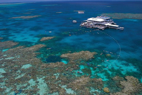 Ultimate 3-Day Great Barrier Reef Cruise Pass - Redcliffe Tourism 2